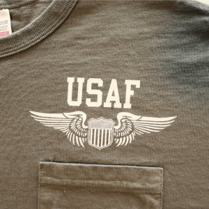 画像7: BUZZ RICKSON'S バズリクソンズ BR79579 S/S POCKET T-SHIRT U.S. AIR FORCE 半袖Tシャツ USAF ポケットT ミリタリーデザイン Made in USA