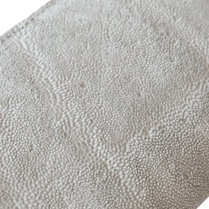 画像11: KC's ケイシイズ 【限定商品】ロングビルフォールド ガネーシャ ラウンドジップ エレファント(クラスト)