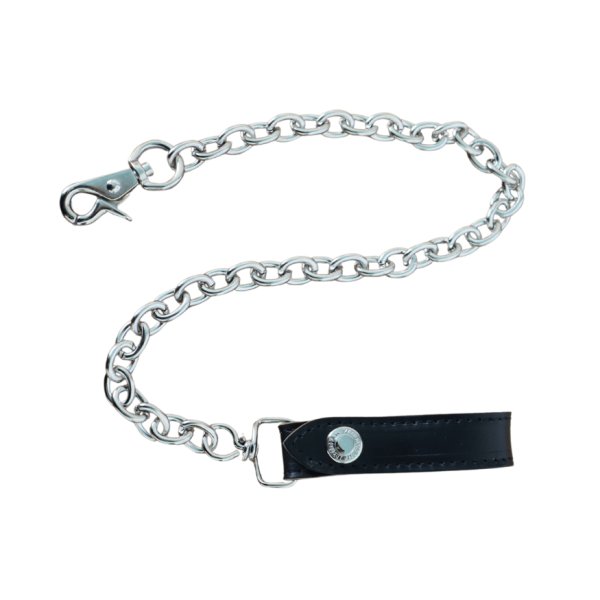 画像13: ART BROWN アートブラウン × TOP VNW00041AB TOP別注 トラッカーズウォレット チェーン付 長財布 本革 日本製 (13)